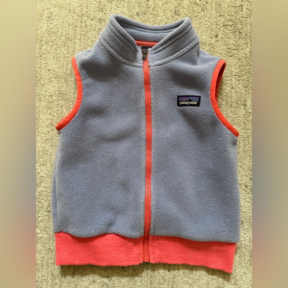 Patagonia Synchilla Fleece Vest